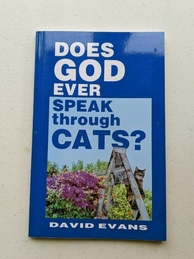 "Does God Ever Speak through Cats?" by David Evans