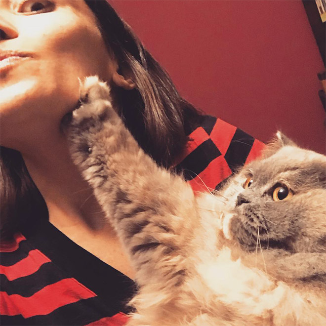 Cat selfie fail.