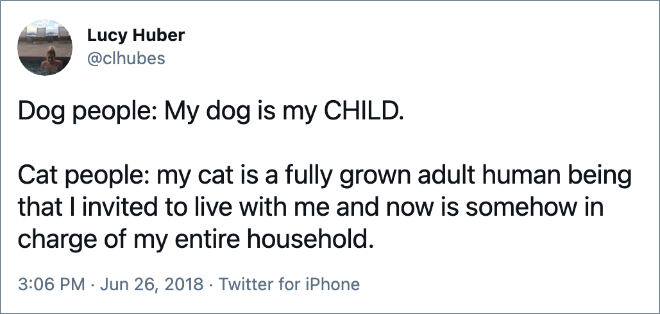 Dog people: My dog is my CHILD. Cat people: my cat is a fully grown adult human being that I invited to live with me and now is somehow in charge of my entire household.