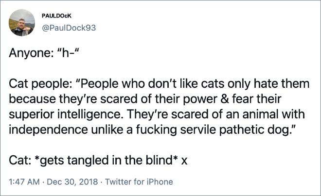 Anyone: “h-“ Cat people: “People who don’t like cats only hate them because they’re scared of their power & fear their superior intelligence. They’re scared of an animal with independence unlike a fucking servile pathetic dog.” Cat: *gets tangled in the blind* x