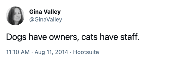 Dogs have owners, cats have staff.