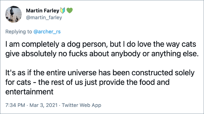 I am completely a dog person, but I do love the way cats give absolutely no fucks about anybody or anything else.  It's as if the entire universe has been constructed solely for cats - the rest of us just provide the food and entertainment