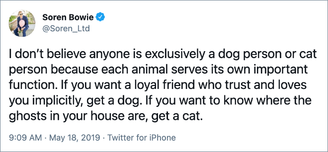 I don’t believe anyone is exclusively a dog person or cat person because each animal serves its own important function. If you want a loyal friend who trust and loves you implicitly, get a dog. If you want to know where the ghosts in your house are, get a cat.