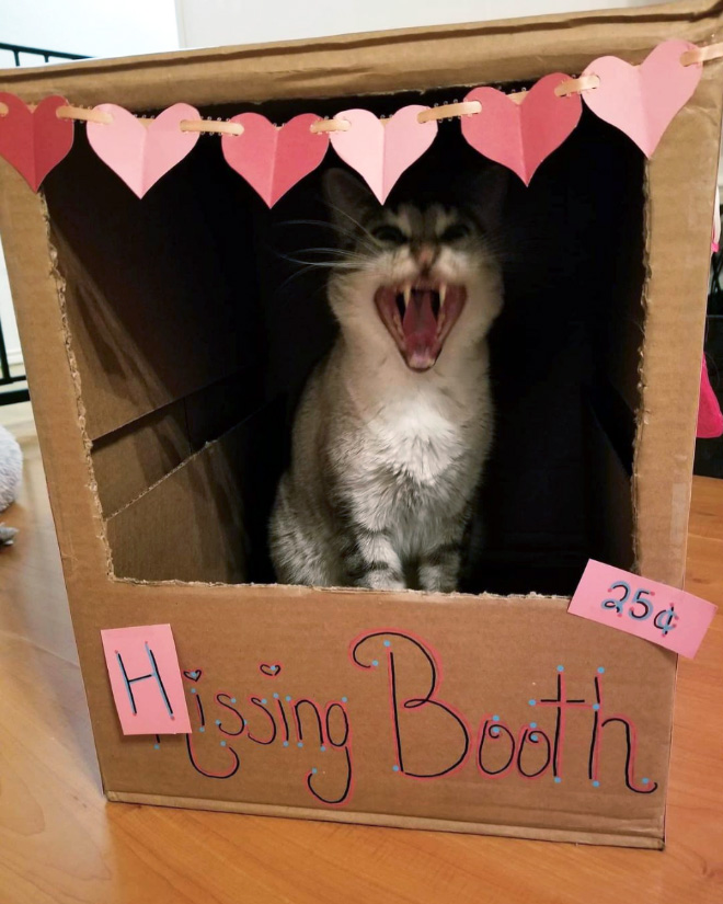 Hissing booth.