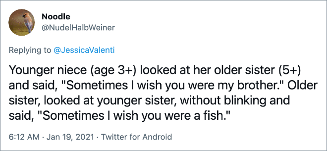 Younger niece (age 3+) looked at her older sister (5+) and said, "Sometimes I wish you were my brother." Older sister, looked at younger sister, without blinking and said, "Sometimes I wish you were a fish."
