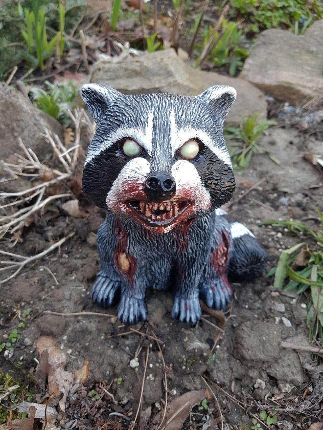 Zombie garden raccoon.