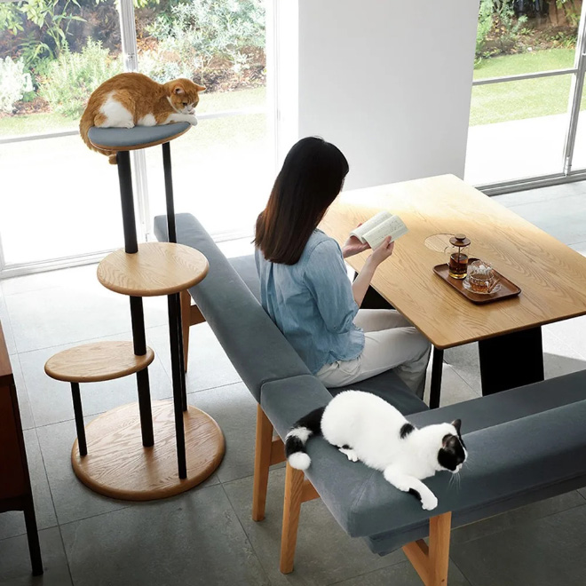 Cat table.