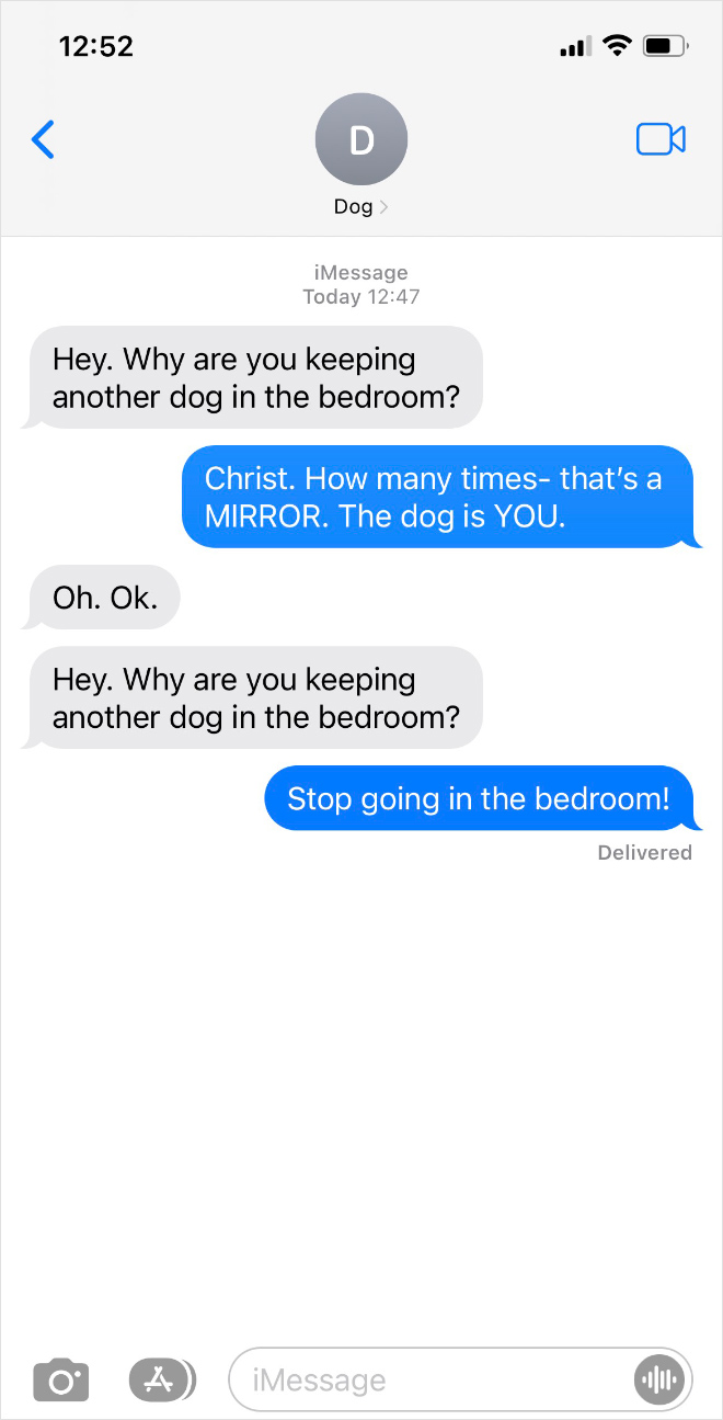 Texting with my dog.