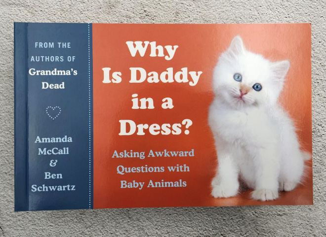 "Why Is Daddy in a Dress?" by Amanda McCall