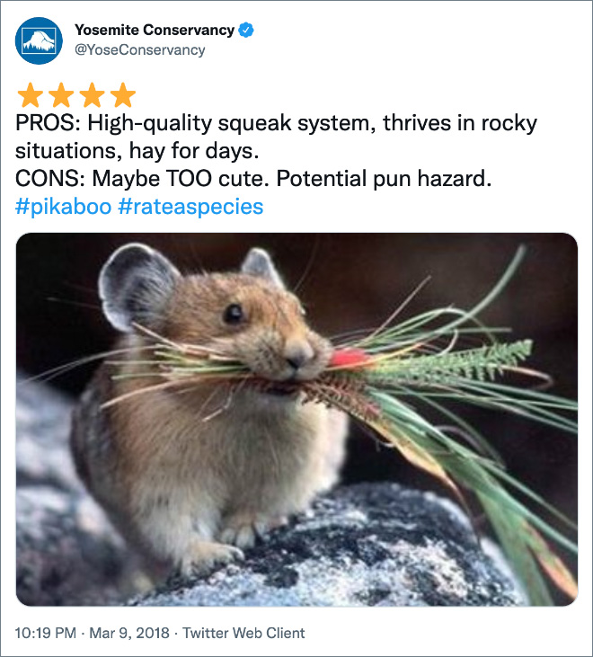 PROS: High-quality squeak system, thrives in rocky situations, hay for days. CONS: Maybe TOO cute. Potential pun hazard.