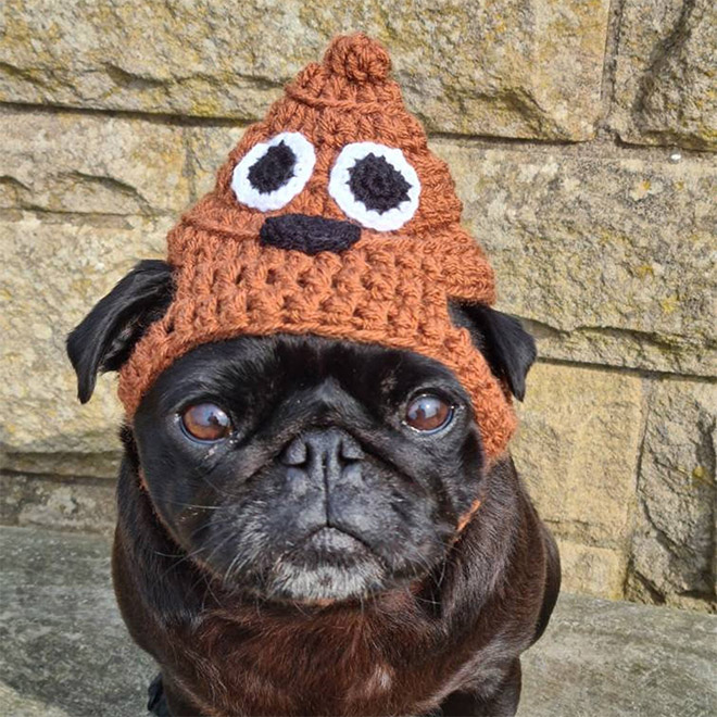 Dog poop hat.