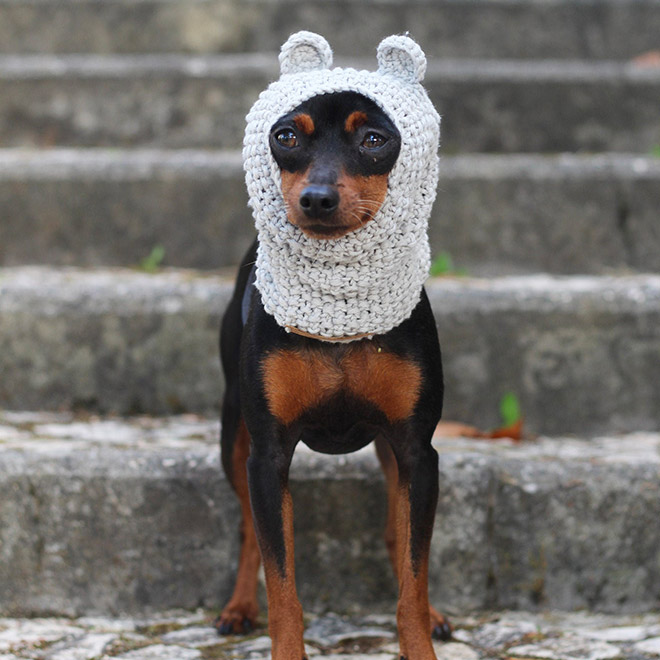 Cute white dog hat.