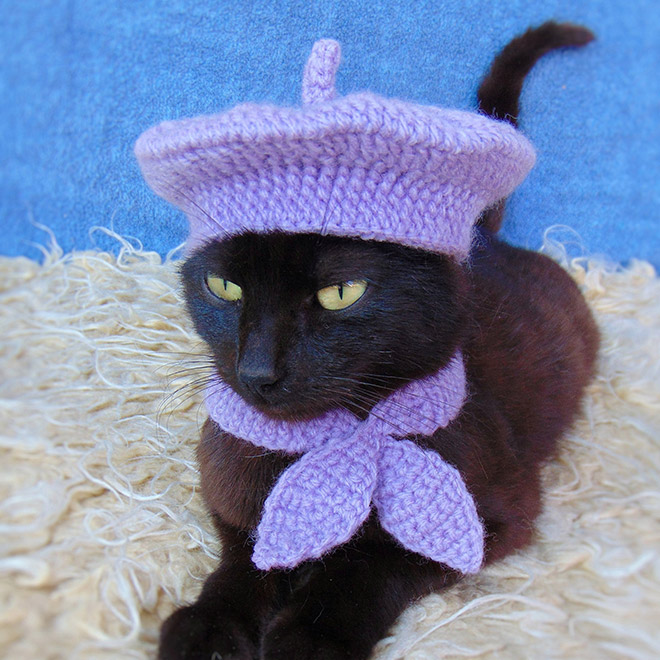 Stylish cat hat.