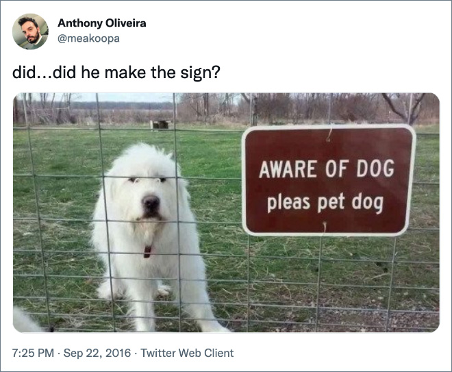 did...did he make the sign?