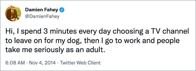 Hi, I spend 3 minutes every day choosing a TV channel to leave on for my dog, then I go to work and people take me seriously as an adult.