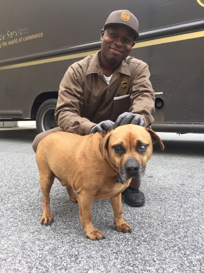 Sometimes UPS drivers meet awesome dogs...