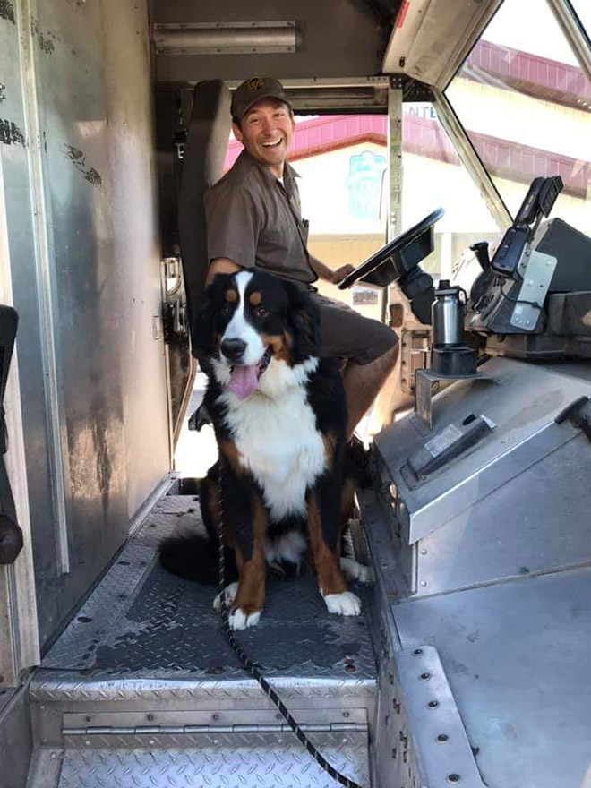 Sometimes UPS drivers meet awesome dogs...