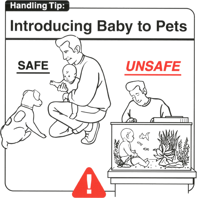 Introducing baby to pets.