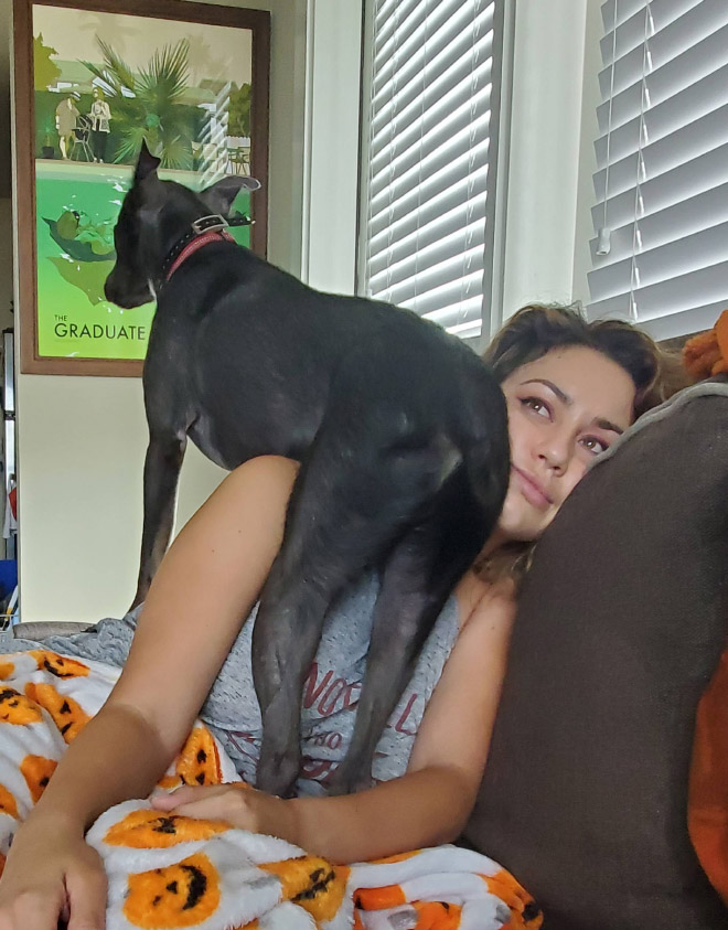Pets don't care about your personal space.