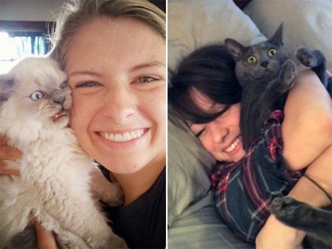 Some cats hate cuddling.