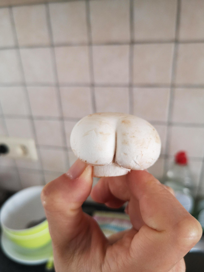 Mushroom that looks like a butt.