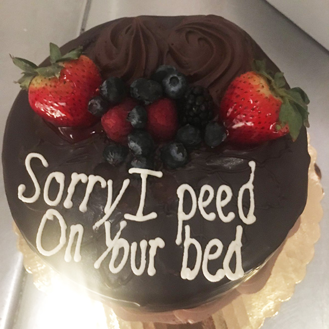 Apology cake.