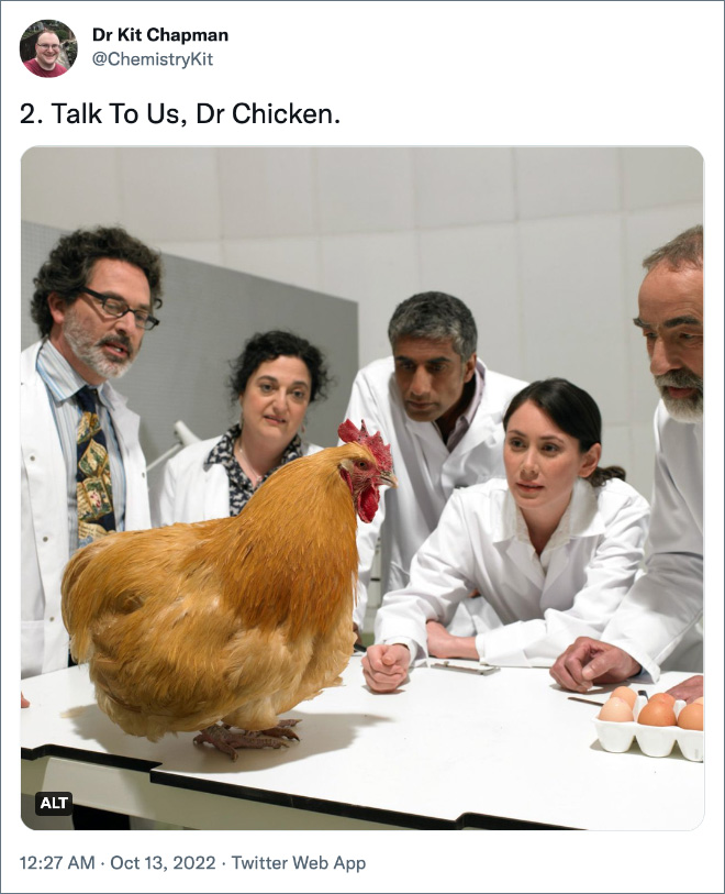 2. Talk To Us, Dr Chicken.