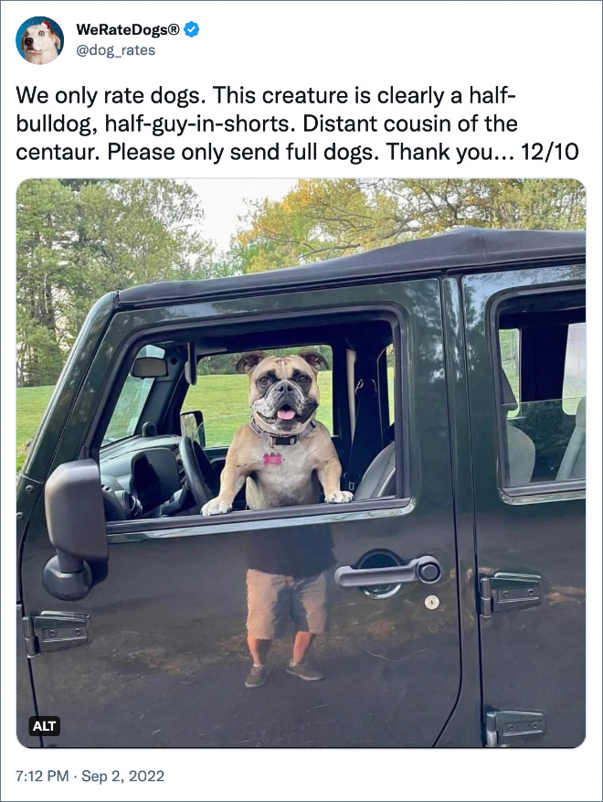 We only rate dogs. This creature is clearly a half-bulldog, half-guy-in-shorts. Distant cousin of the centaur. Please only send full dogs. Thank you... 12/10