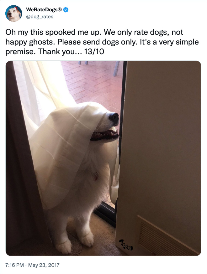 Oh my this spooked me up. We only rate dogs, not happy ghosts. Please send dogs only. It's a very simple premise. Thank you... 13/10