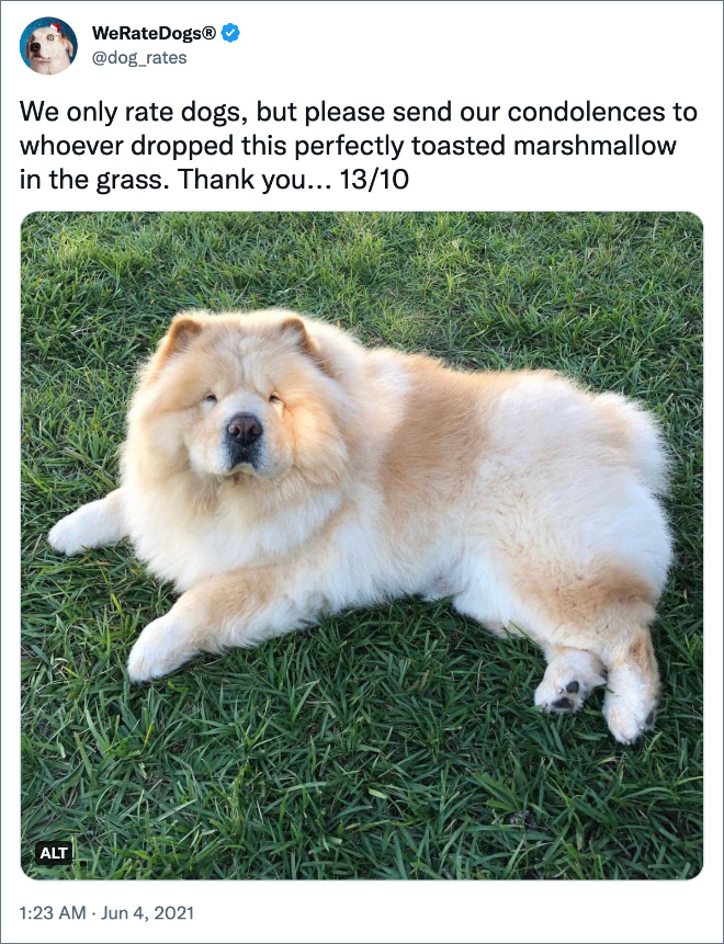 We only rate dogs, but please send our condolences to whoever dropped this perfectly toasted marshmallow in the grass. Thank you... 13/10