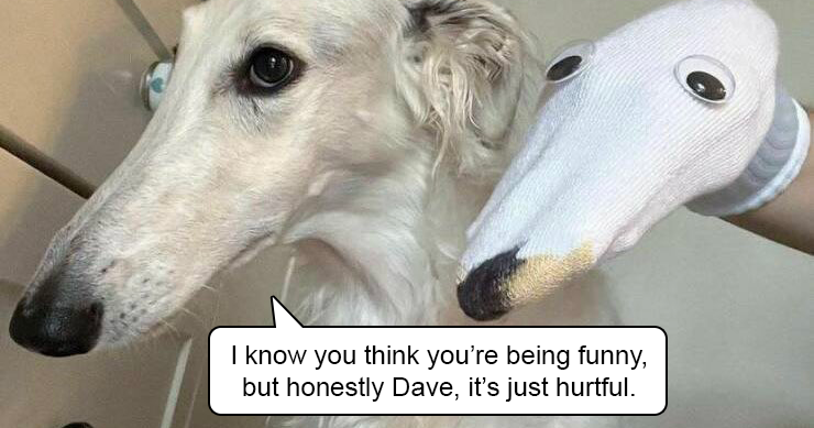 The Funniest Tweets About Dogs (Part 2) The Funniest Tweets About Dogs (Part 2)