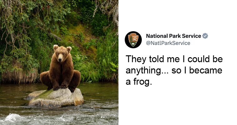 National Park Service Twitter Account Is Hilarious!