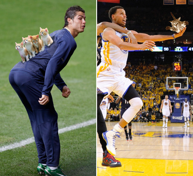 Balls replaced with cats in sports photos is a great idea!