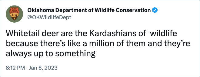 Whitetail deer are the Kardashians of wildlife because there’s like a million of them and they’re always up to something