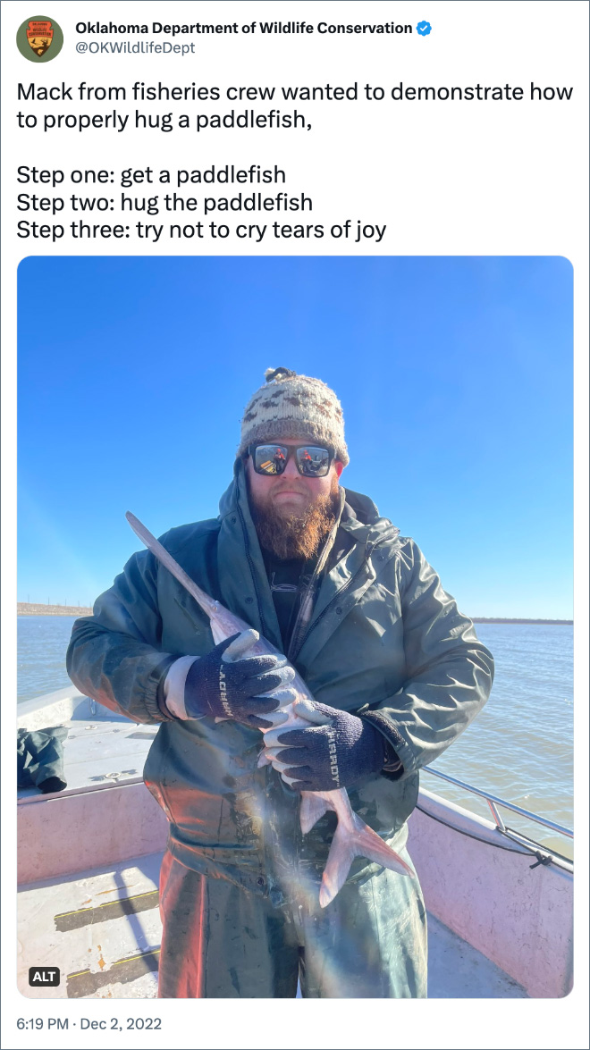 Mack from fisheries crew wanted to demonstrate how to properly hug a paddlefish, Step one: get a paddlefish Step two: hug the paddlefish Step three: try not to cry tears of joy