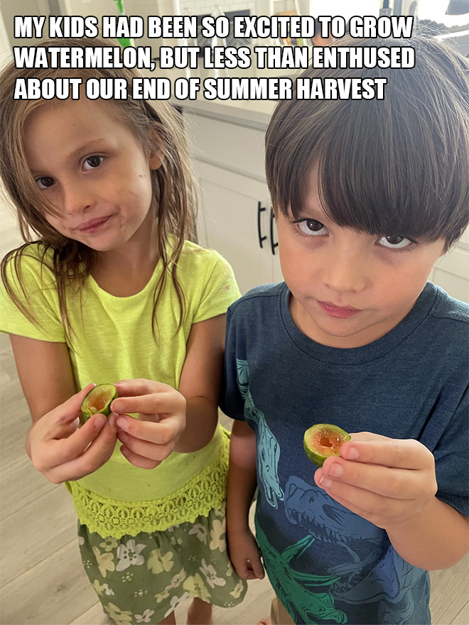 My kids had been so excited to grow watermelon, but less than enthused about our end of summer harvest.
