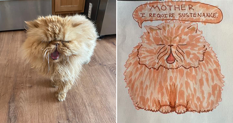 Animal Shelter Launches “Poorly Drawn Pets” Fundraiser To Support Animals  In Need