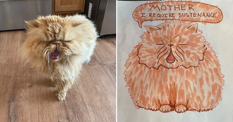 Animal Shelter Launches “Poorly Drawn Pets” Fundraiser To Support Animals In Need Animal Shelter Launches “Poorly Drawn Pets” Fundraiser To Support Animals In Need