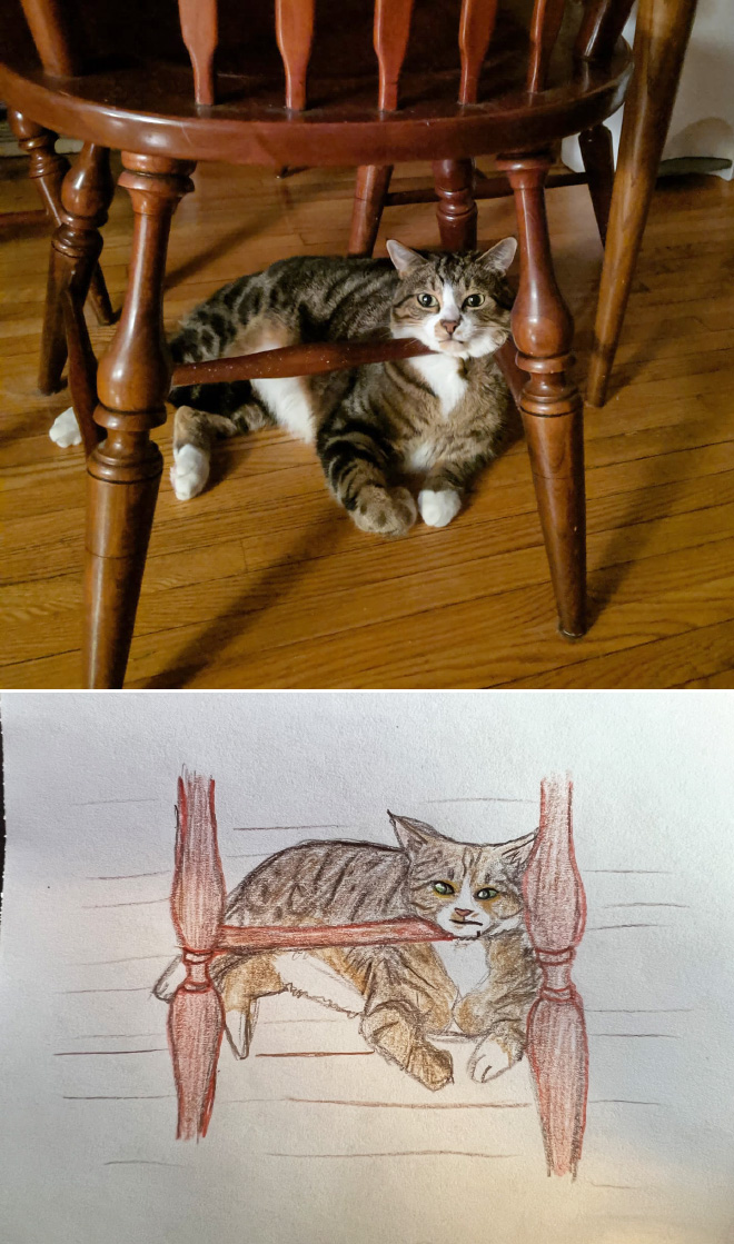 Poorly drawn cat.