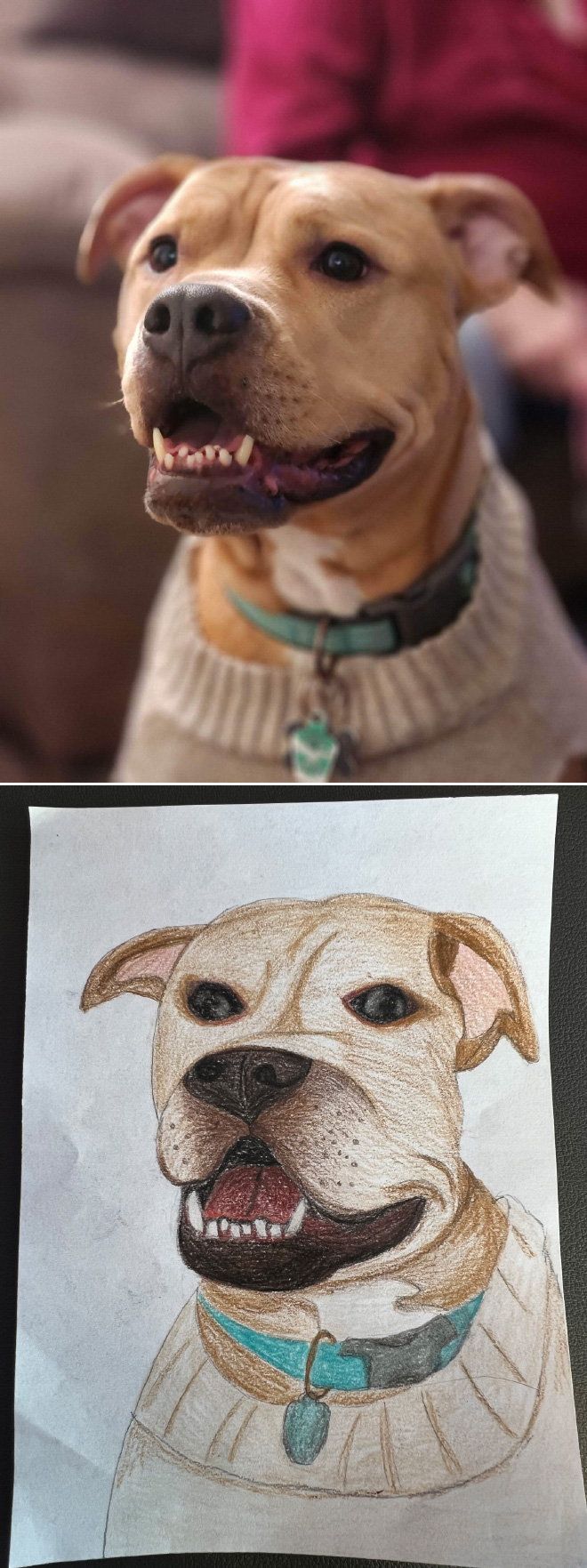 Poorly drawn dog.