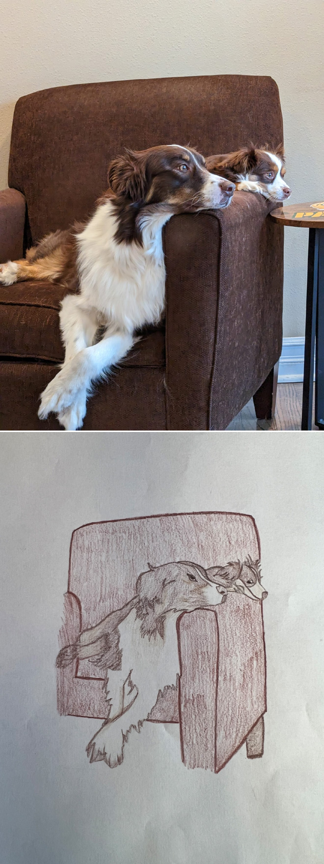 Poorly drawn dogs.