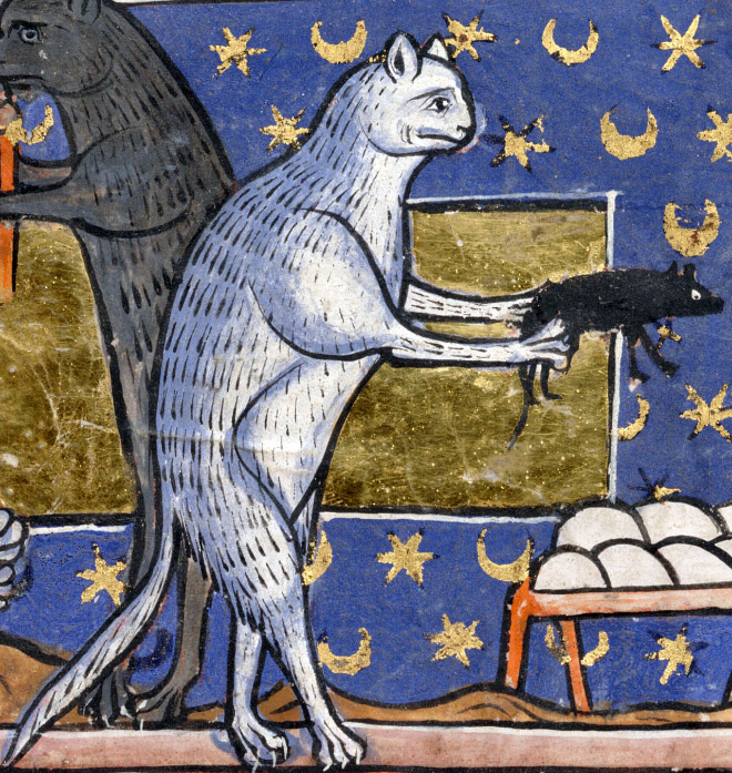 Ugly cat in medieval art.