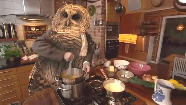 Owl making breakfast.
