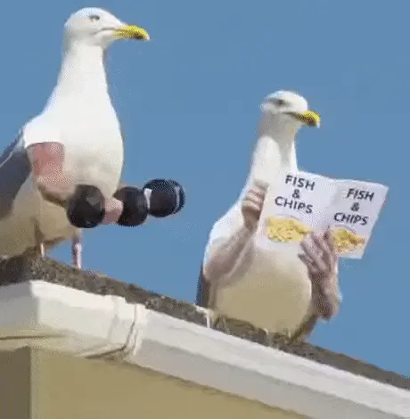 Seagulls with human arms.