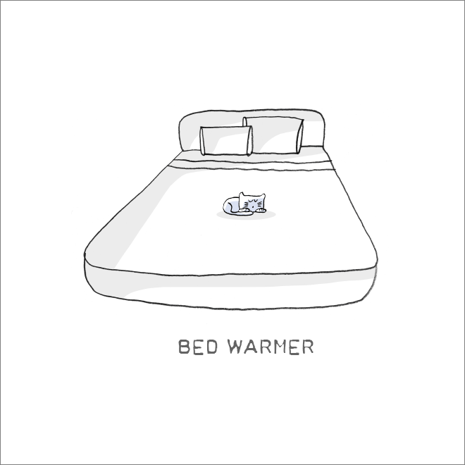 Important cat job: bed warmer.