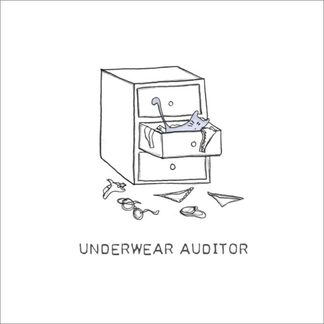 Important cat job: underwear auditor.