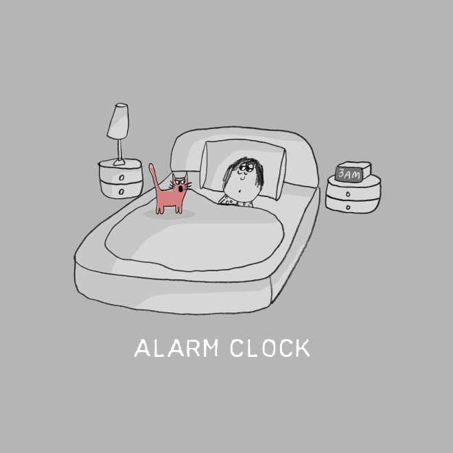 Important cat job: alarm clock.