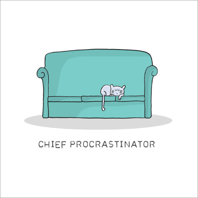 Important cat job: chief procrastinator.
