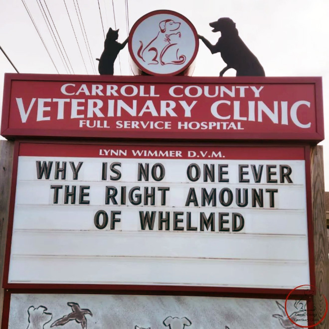 Carroll County Veterinary Clinic has the funniest signs.