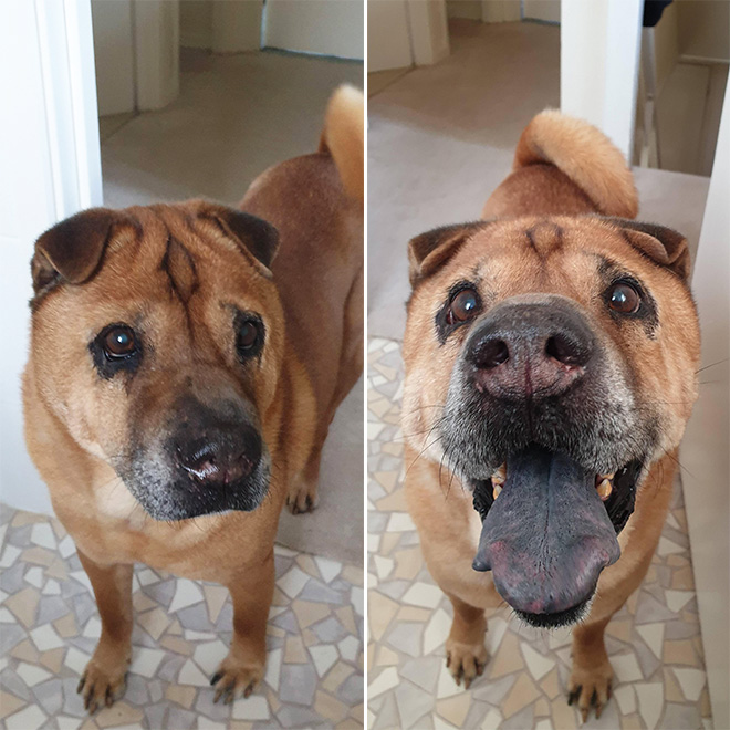 Before and after being called a good boy.